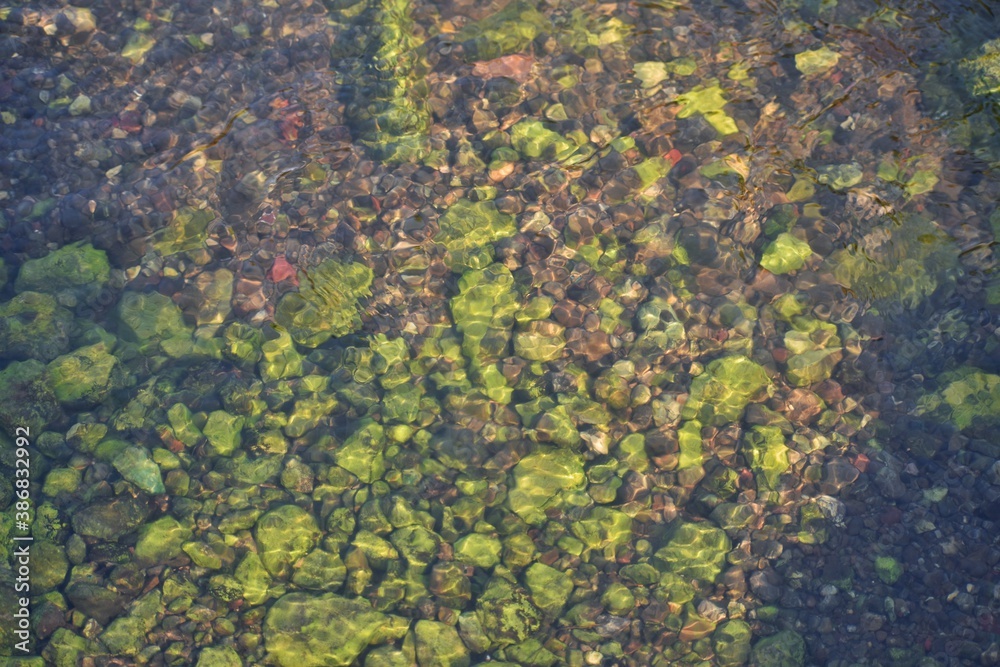 Texture of water and moss on stone Texture of water and moss on stone