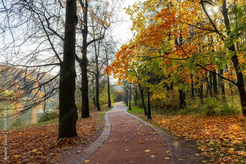 Autumn beautiful romantic alley in a park with colorful trees and autumn pond. Autumn landscape background. Autumn beautiful romantic alley in a park with colorful trees and autumn pond. Autumn landscape background.