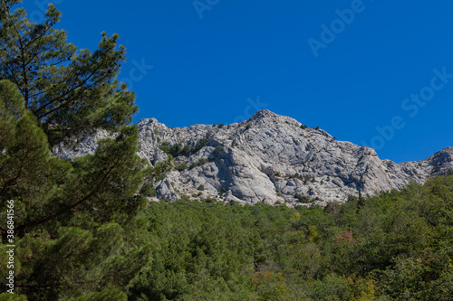 Mountain rocks and green pine trees against the blue sky