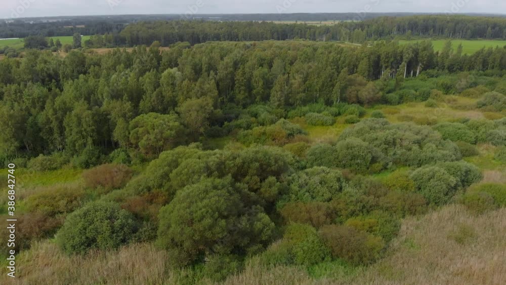 Heavily forest region of Vortsjarv Estonia aerial drone Heavily forest region of Vortsjarv Estonia aerial drone