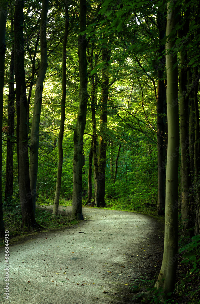 Windender Weg Windender Weg