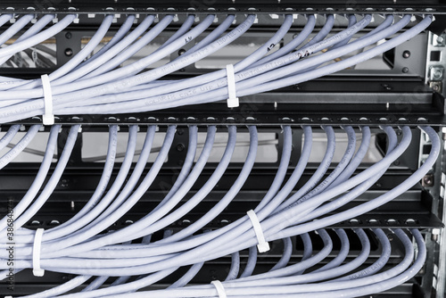 large group of UTP cables  Ethernet cables in rack cabinet  lead