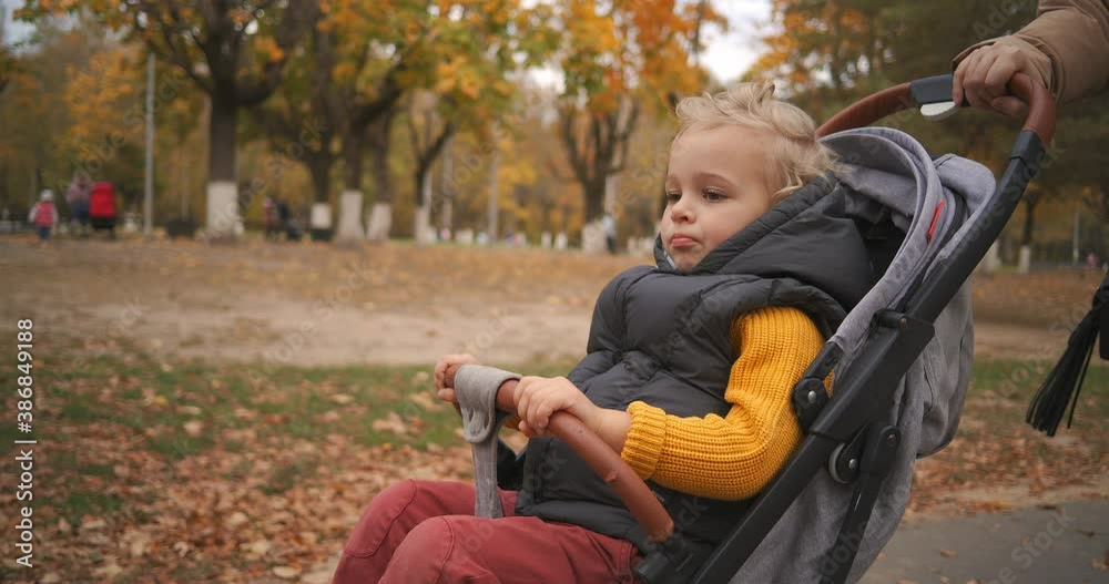 portrait of little child in stroller, mother is rolling his in park area in city at autumn day portrait of little child in stroller, mother is rolling his in park area in city at autumn day