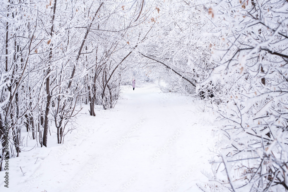 Winter landscape in the forest Winter landscape in the forest