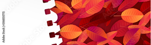 Autumn banner or website header with fall red and orange leaves under a torn out sheet of note pad paper with free space for text. Vector illustration.