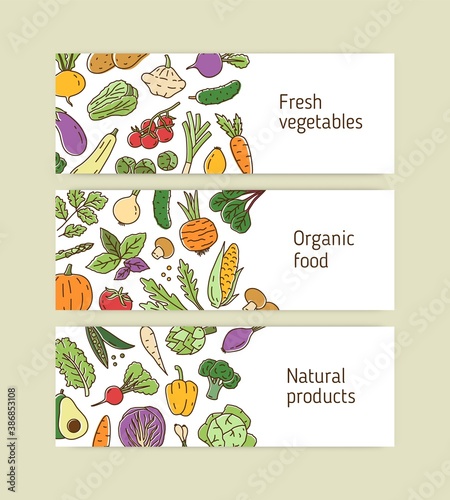 Collection of horizontal line art banners with organic healthy vegetables and greens. Set of colorful backgrounds with vegetarian natural products. Vector linear illustration