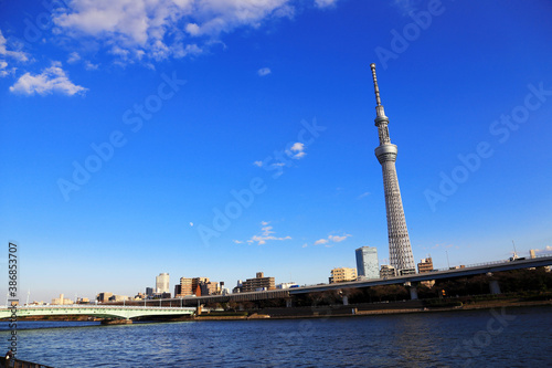 view Tokyo sky tower and blue sky