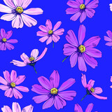 Beautiful cosmea flowers pattern. Vector flowers