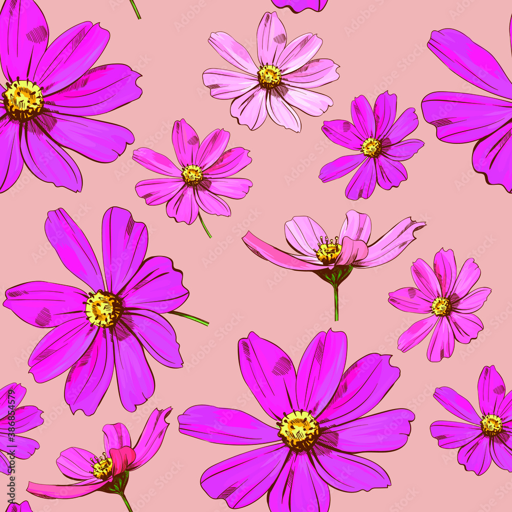 Beautiful cosmea flowers pattern. Vector flowers Beautiful cosmea flowers pattern. Vector flowers