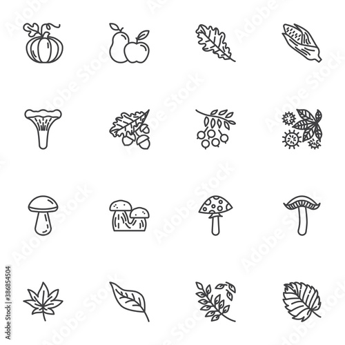 Autumn season line icons set, outline vector symbol collection, linear style pictogram pack. Signs logo illustration. Set includes icons as pumpkin vegetable, apple fruit, mushrooms, tree leaves, corn