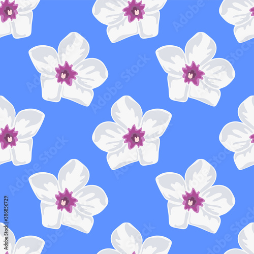 White plumeria flowers repeat pattern