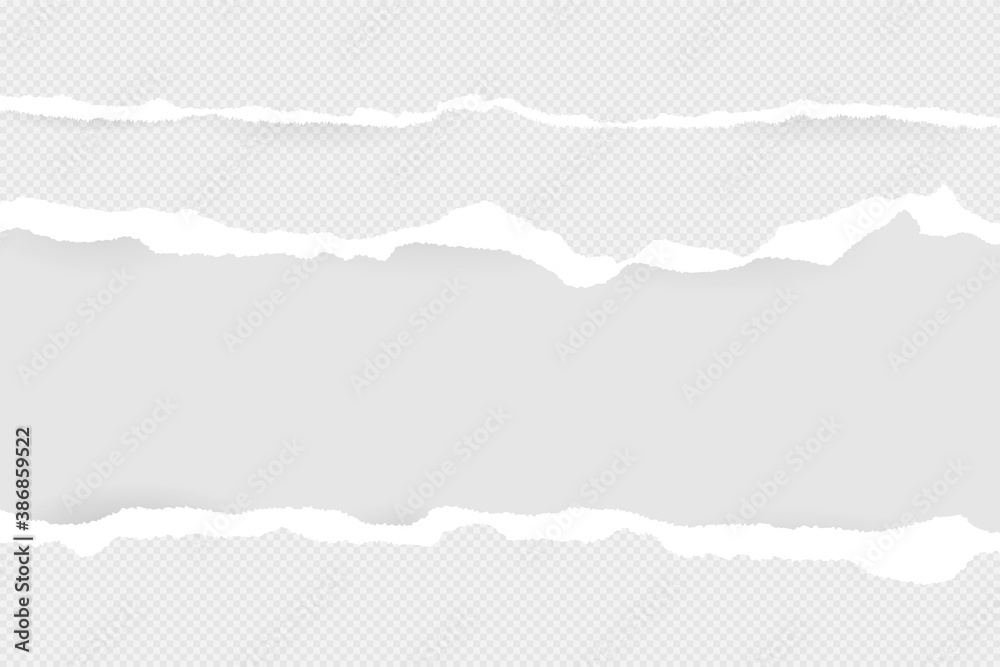 Torn in a squared horizontal gray stripes of paper for text or message are on a white background. Torn in a squared horizontal gray stripes of paper for text or message are on a white background.