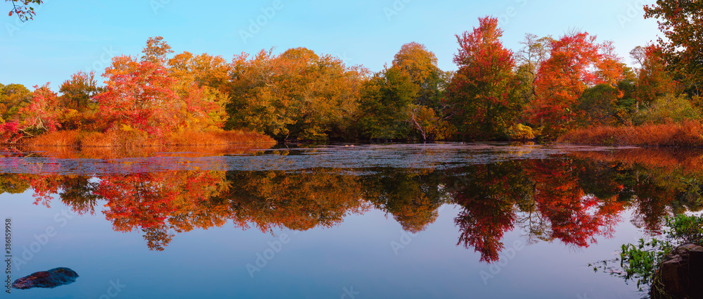 Panoramic Colorful Autumn Foliage Reflected on a Lake with a Glass-like Mirror Water Surface on Cape Cod 