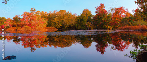 Panoramic Colorful Autumn Foliage Reflected on a Lake with a Glass-like Mirror Water Surface on Cape Cod 