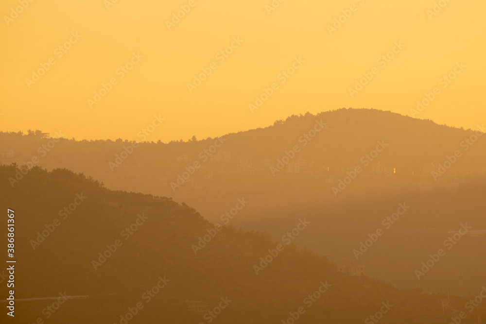 Beautiful Sunset, forest trees and grass. nature green wood backgrounds Beautiful Sunset, forest trees and grass. nature green wood backgrounds