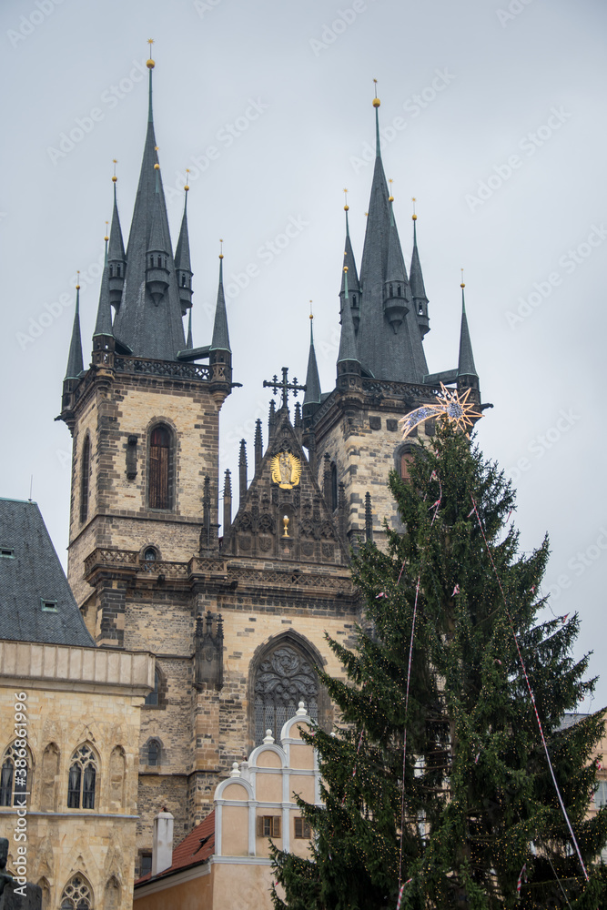 Christmas tree and Prague Cathedral