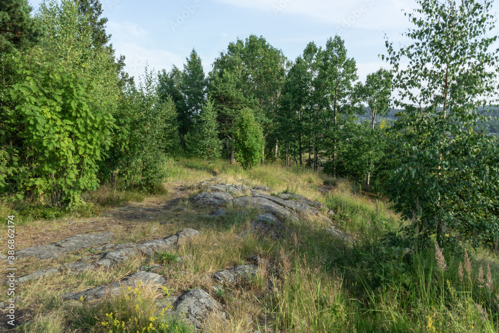 beautiful landscape with natural trees,plants,stones in the Park,forest in summer in Karelia,Russia beautiful landscape with natural trees,plants,stones in the Park,forest in summer in Karelia,Russia