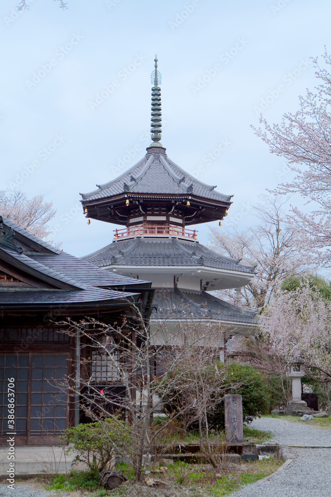 吉野朝宮跡 吉野朝宮跡