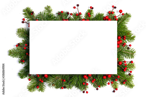 Christmas frame of tree branches photo