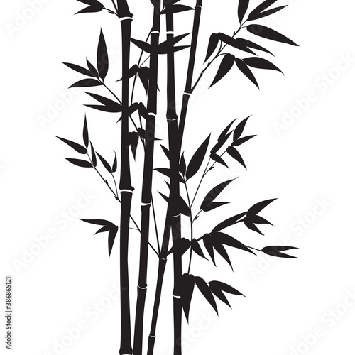 Silhouette bamboo leaves on white background.