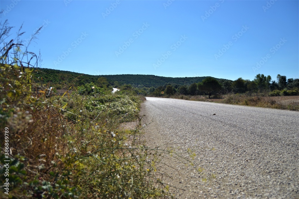 Gravel road in the villages. Blue sky and plants near the gravel roads and small hills.
