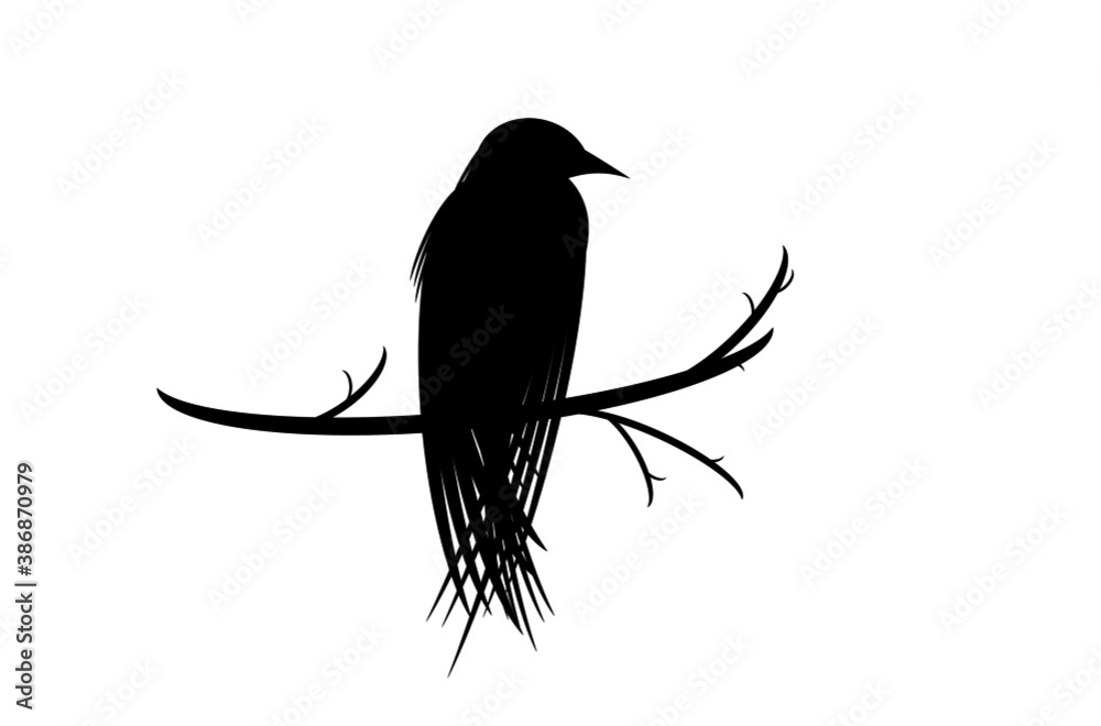 Fototapeta premium raven bird or crow on a branch Vector .silhouettes shadow isolated on white background illstration