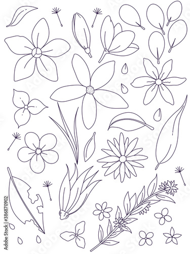 set of flowers illustration line art black on white background