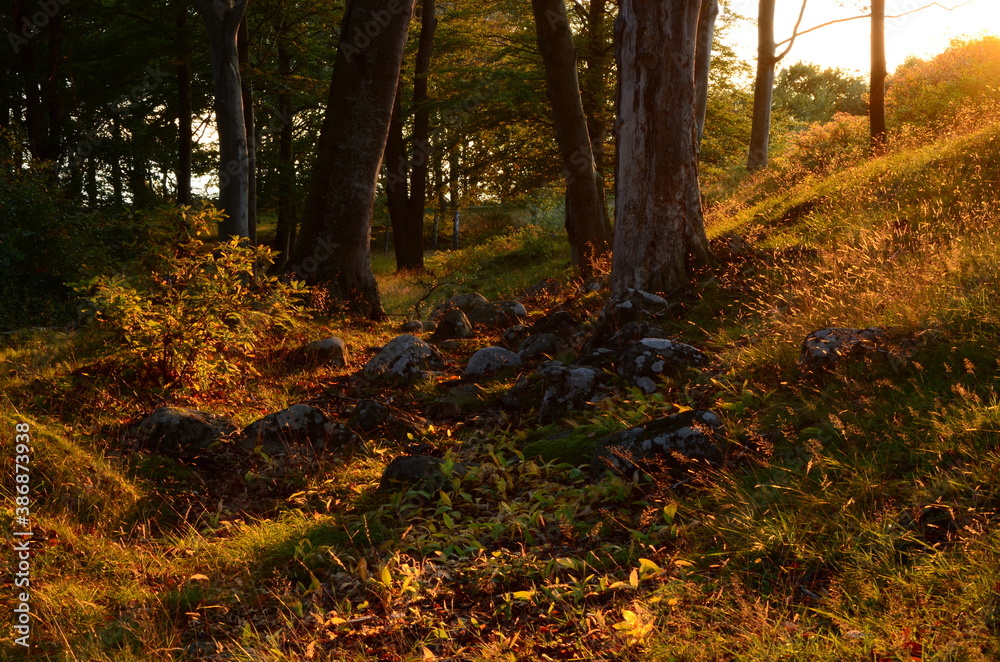 Nature landscape during autumn inSweden Nature landscape during autumn inSweden