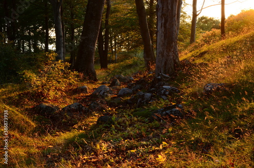 Nature landscape during autumn inSweden
