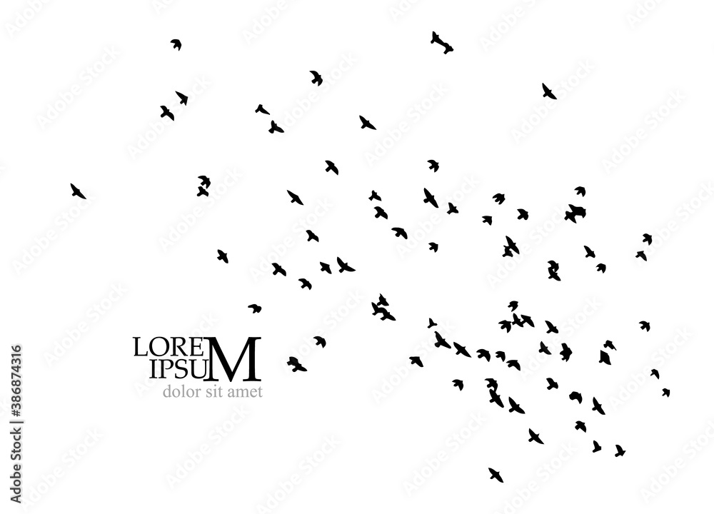 A flock of flying birds. Vector illustration A flock of flying birds. Vector illustration