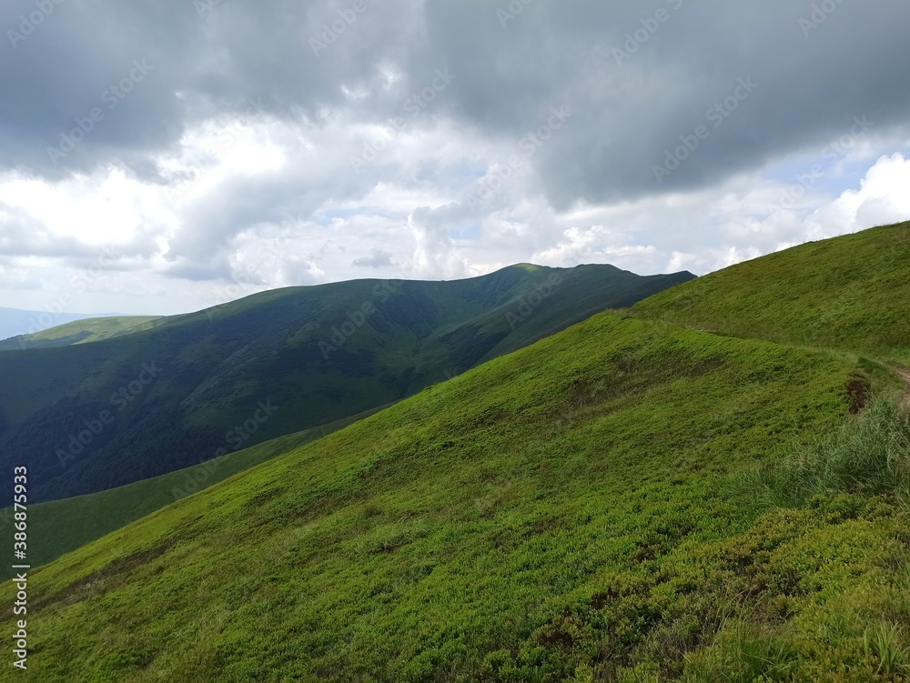 Naklejka premium Nature is wonderful