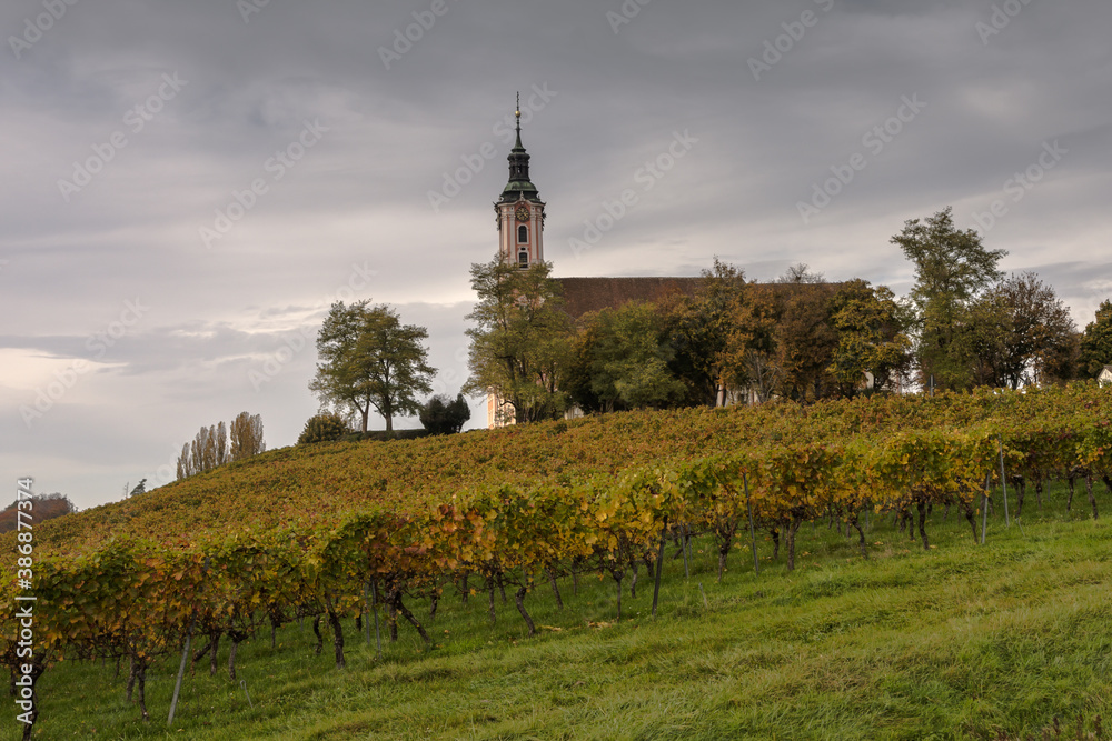 Wallfahrtskirche Birnau mit Weinreben im Herbst, Uhldingen-Mühlhofen, Bodensee, Baden-Württemberg, Deutschland