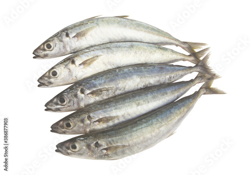 Round scad fish or mackerel scad isolated on white background photo