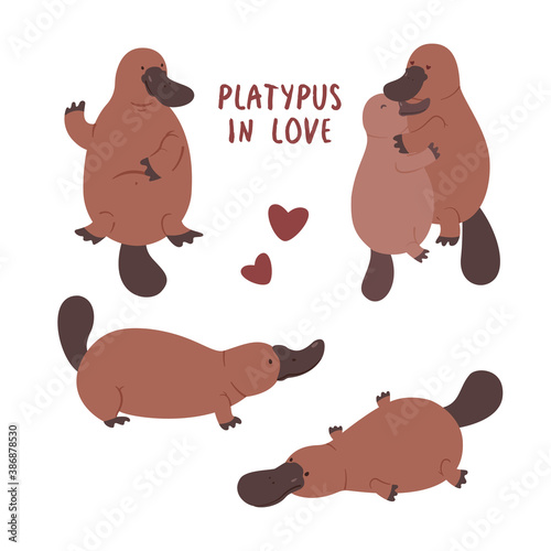 Set with pair of platypuses in love. Vector flat illustration animal isolated on white background