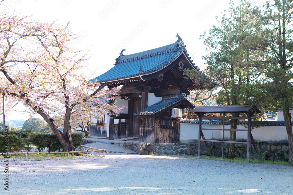 橘寺