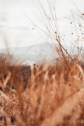Gombori Pass, Georgia
