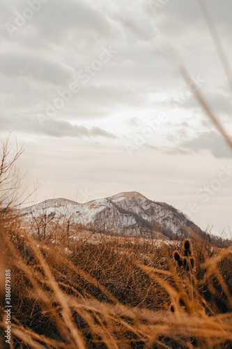 Late winter scenery, Georgia
