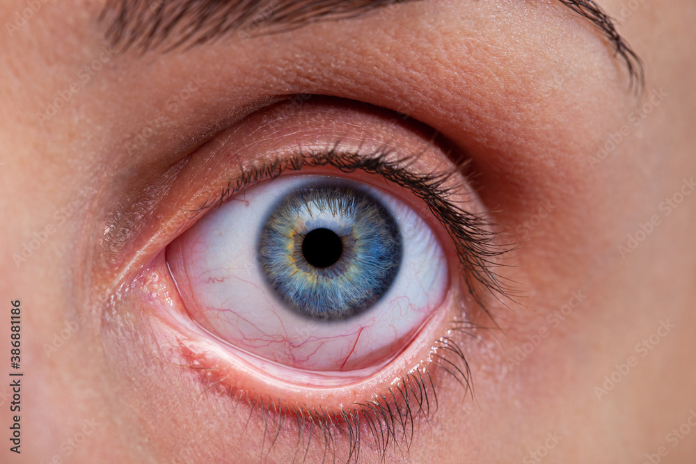 Fototapeta premium Paura