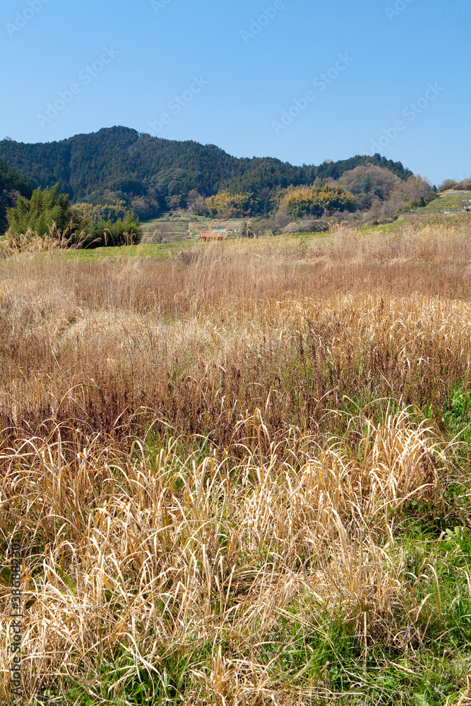 飛鳥稲淵宮殿跡 飛鳥稲淵宮殿跡