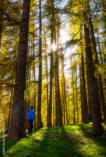 Man walking in the forest during autumn season