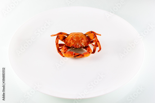 boiled crab on a white plate