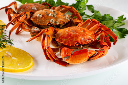 boiled crabs with lemon and parsley