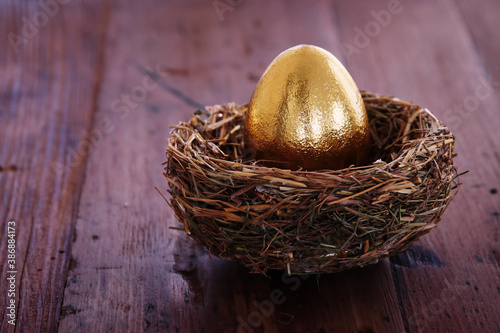 golden egg in nest. Concept of investments, savings and pensions