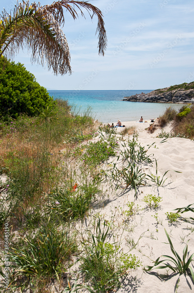 La Bobba beach, Carloforte, St Pietro Island, Sulcis Iglesiente, Carbonia Iglesias, Sardinia, Italy, Europe La Bobba beach, Carloforte, St Pietro Island, Sulcis Iglesiente, Carbonia Iglesias, Sardinia, Italy, Europe