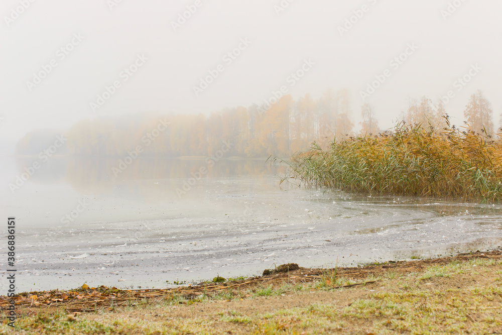 The lake in the fall with fog The lake in the fall with fog