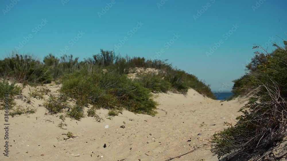 Russian travel concept – relax and no people holidays during summer. Good vibes and relaxation in Russia. Natural seascape with leaves on the beach. Russian travel concept – relax and no people holidays during summer. Good vibes and relaxation in Russia. Natural seascape with leaves on the beach.