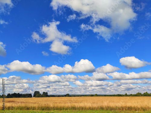 Panorama beautiful view landscape field.Scenic panoramic view of rolling countryside green farm fields with and green grass ..