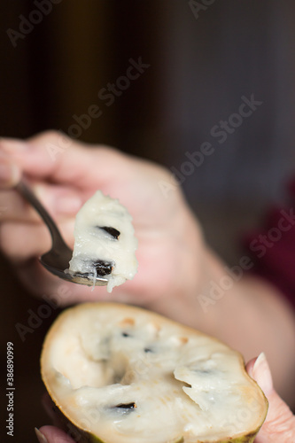 A woman picks a spoonful of tropical fruit pulp from a custard apple cut in half. Healthy Eating.