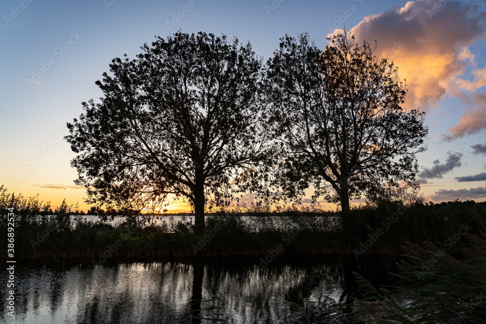 Behind these two trees on the water of lake Zoetermeerse Plas, the sun is just rising on the horizon and shines beautifully on the scattered clouds Behind these two trees on the water of lake Zoetermeerse Plas, the sun is just rising on the horizon and shines beautifully on the scattered clouds