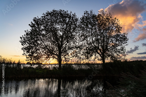 Behind these two trees on the water of lake Zoetermeerse Plas, the sun is just rising on the horizon and shines beautifully on the scattered clouds